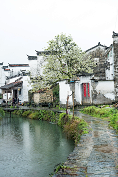 易白恩采集到实景