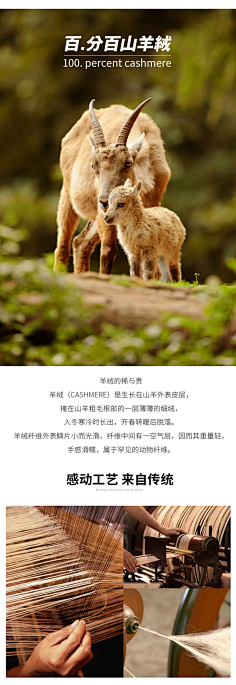 时尚之巅：丹阳羊绒织就温暖篇章