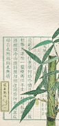 热门 - 热门微博 - 微博
