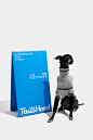 「TAILSHOOD」Pet Supplies Brand Design宠物用品品牌设计 :: Behance