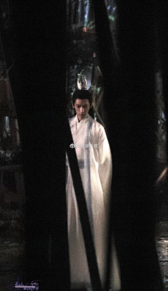 婴眼采集到美人