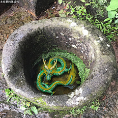 华华华-采集到玩