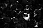 Photograph Black &white by Pini Hamou on 500px