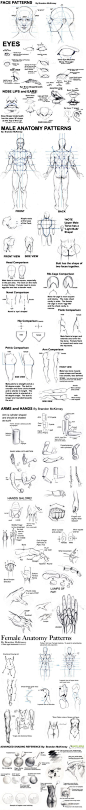【人体教材】五官的正确比列，人体结构驱赶和手部的详细拆解，皮肤的光影表现，非常详细全面的教材！强烈推荐给大家!