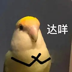 搞笑表情包 - 高清图片，堆糖，美图壁纸兴趣社区