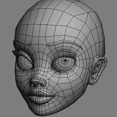 Female face topology