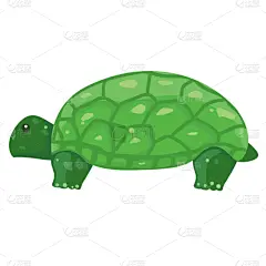 海龟,幽默,可爱的,野生动物,壁纸,自然美,动物,水生动植物,爬行纲,吉祥物
