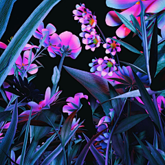 ⭐无忧采集到【Visual】