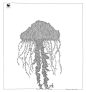 种植更多树 种植更多生命:WWF公益广告