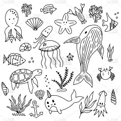 海set涂鸦元素在时尚简约风格。手绘时尚插画海洋航海元素绘制轮廓。矢量手绘。植物，哺乳动物，鱼类，海