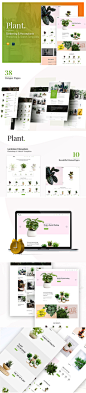 时尚的绿植电商多功能网站 UI KIT 模板下载 [PSD,Sketch]