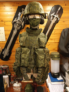 捍卫天骑2008采集到军用装具