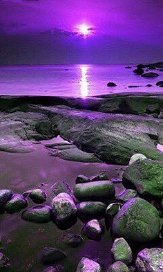 Stunning purple beau...