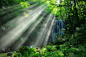 瀑布,夏天,秋田县,旅途,著名自然景观,环境,植物,河流,休闲活动,岩石