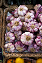 Garlic Bulbs in French food market...| DonalSkehan.com: 