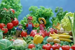 微景观创意果蔬农庄