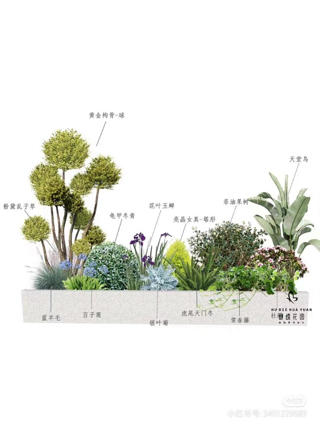 庭院植物配置