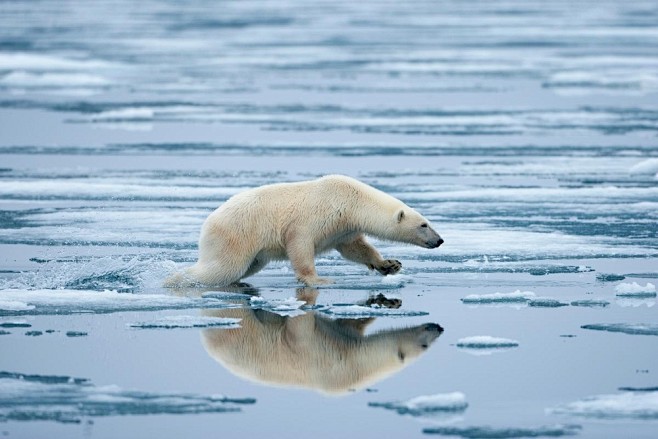 Norway, Svalbard, No...