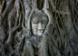 泰国很有名的佛陀之树，自然力量和人工遗迹结合而成的奇观。