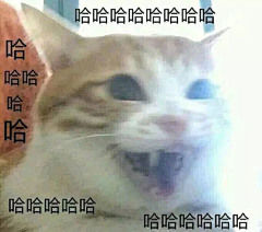 UWSu2ucV采集到表情包