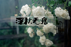 3~LOVE~0采集到字体设计
