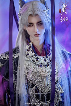貓薄渮采集到BJD