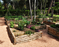 Garden Design Ideas, Renovations & Photos with with a Vegetable Patch