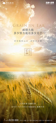 子木与阿雙采集到24节气单图