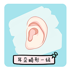 cDxoIizA采集到整形设计小元素