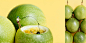 Kiwi Fruit projects | Behance 上的照片、视频、徽标、插图和品牌