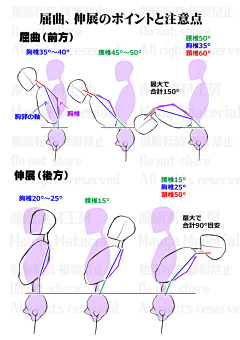 桃花扇美人笑采集到人体结构-整体