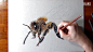 看国外大神如何在纸面上画超立体绘画。太逼真了！【How I draw a bee】 http://t.cn/z8dVJZl