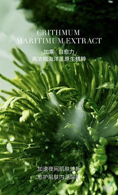 臭作图的采集到香氛