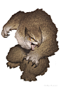 Owlbear