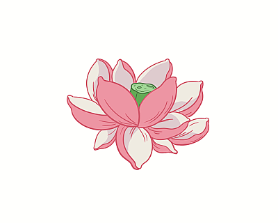 荷花图片设计素材