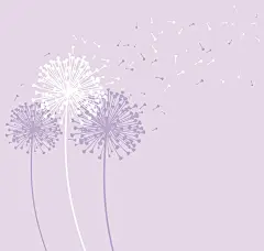 【花卉插画系列图集下载】创意叶子草本花卉绘画/抽象植物绘画临摹作品/水彩iPad手绘作品