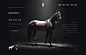 Tal Milstein Stables on Behance