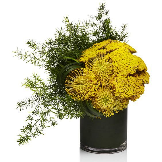 Yellow Pincushion Ce...