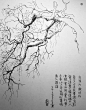 钢笔画手绘建筑步步学-丁方-微信读书