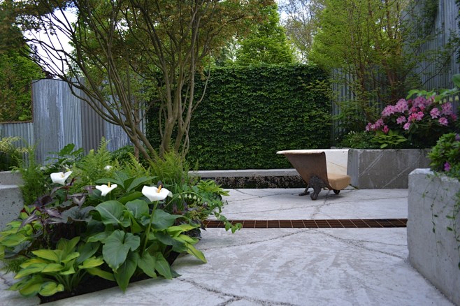 RHS Chelsea 2013 – ‘...