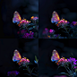 suyunkai_Colorful_butterflies_flutter_among_the_flowers_Black_b_f