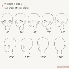 钛合金头娃采集到教程