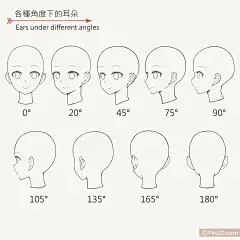 耳朵的画法