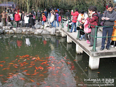 Yaobinnj采集到春节自驾游之杭州西湖, 