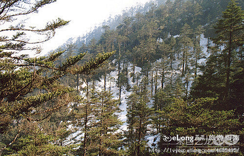 西岭雪山