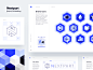 Branding elements integrated together: color palette, icons, typography and other visuals.