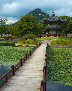 嘿！小花瓣采集到景观