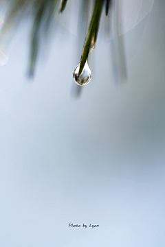 laputa_dy采集到节气