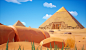 The Desert Explorers