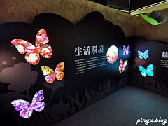 ZkNOuovt采集到昆虫展